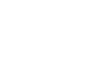 FitStep Pro